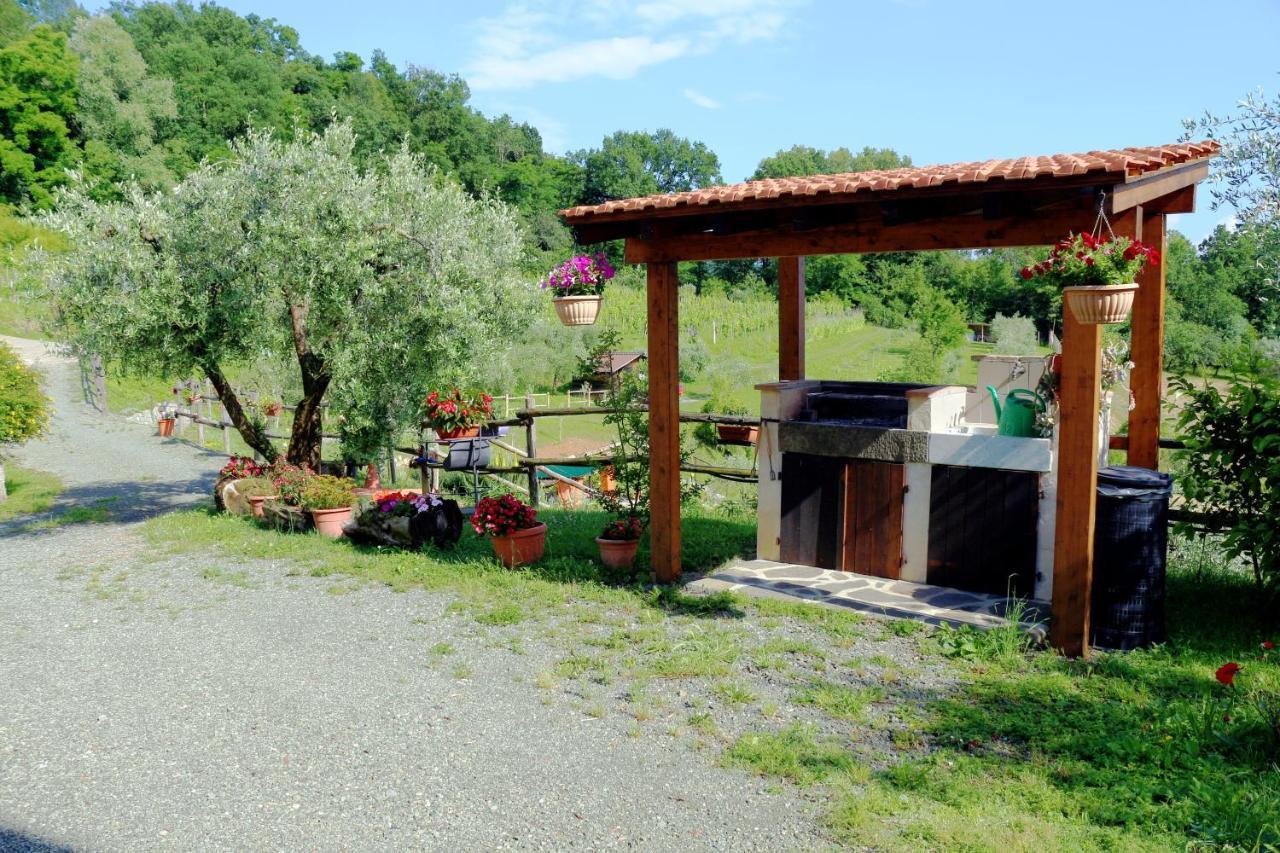 L'olivo * Bagnone